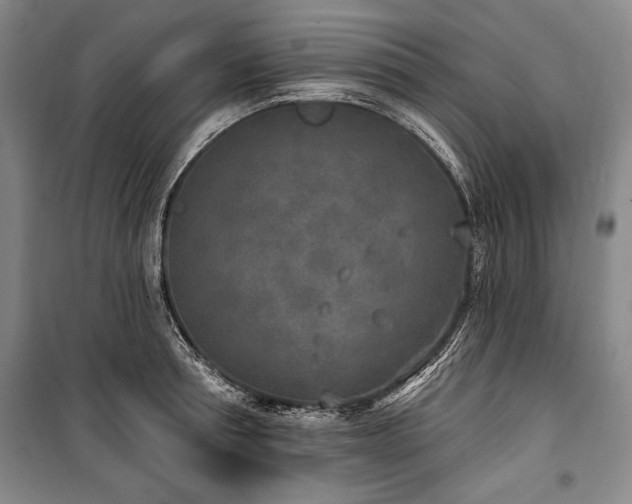 X0000101180994200806271247