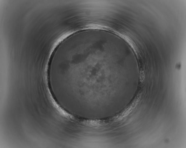 X0000101180995200806271247