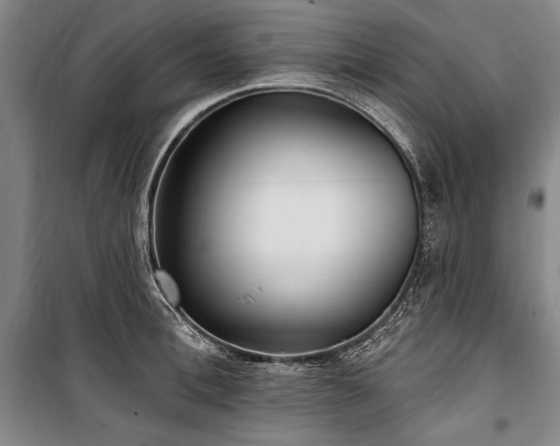 X0000101180996200806271247
