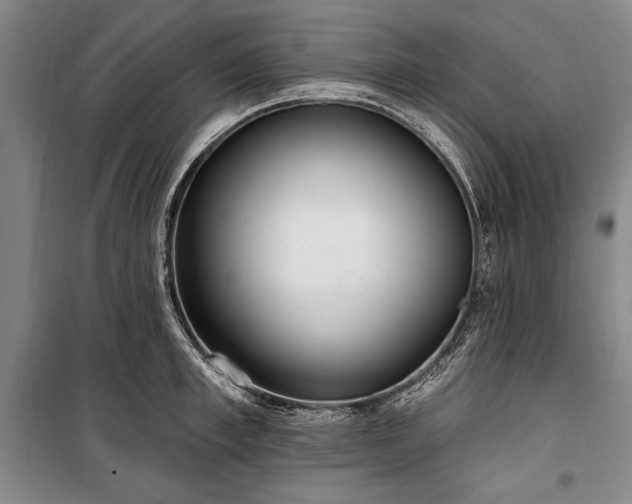 X0000101180997200806271247