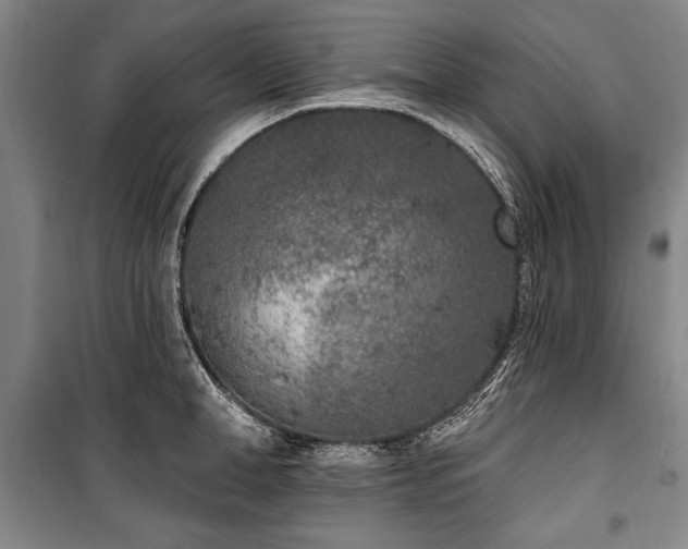 X0000101180998200806271247
