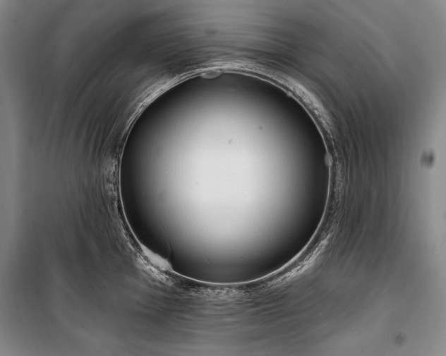 X0000101181001200806271247