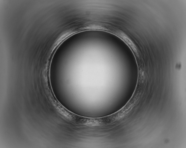 X0000101181002200806271247