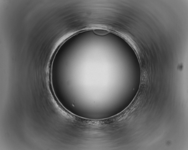 X0000101181003200806271247