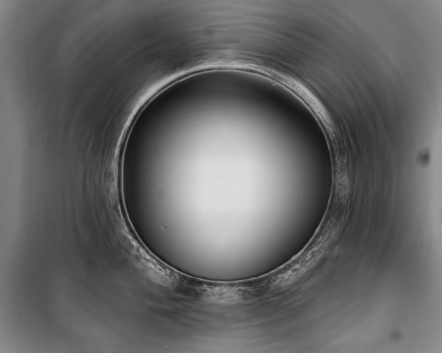 X0000101181004200806271247