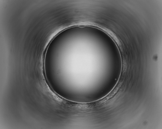 X0000101181006200806271247