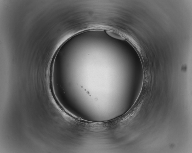 X0000101181007200806271247