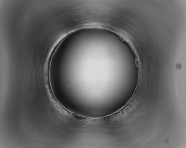 X0000101181008200806271247