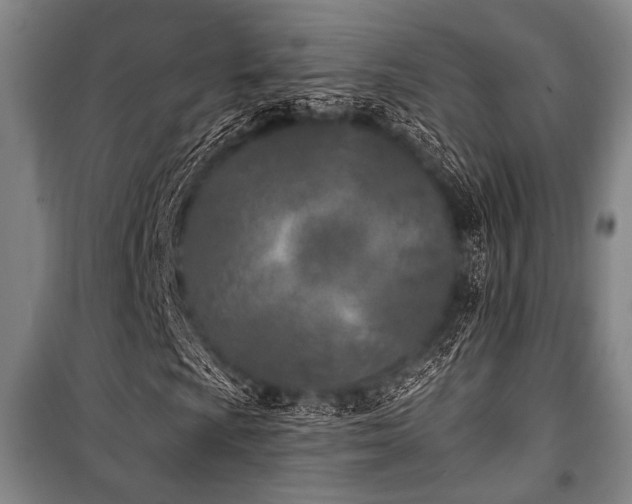 X0000101181009200806271246