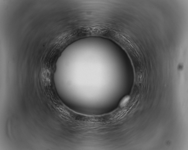 X0000101181010200806271246