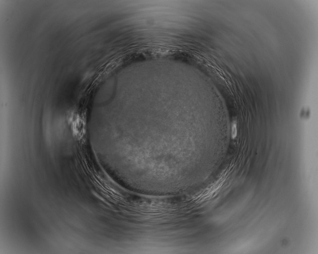 X0000101181011200806271246