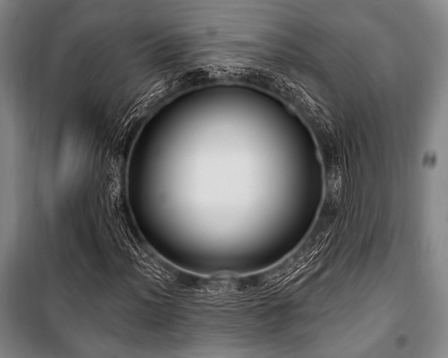 X0000101181012200806271247
