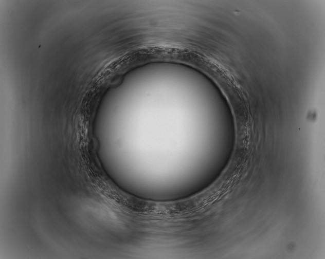 X0000101181013200806271247