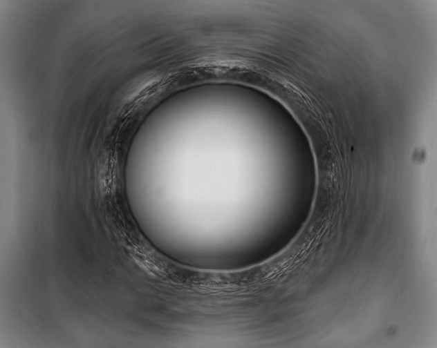 X0000101181014200806271247