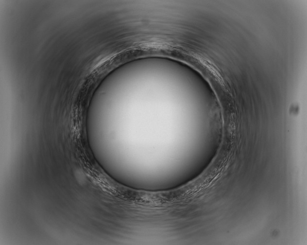X0000101181015200806271247