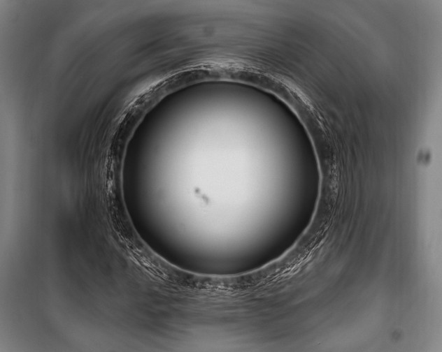 X0000101181016200806271247