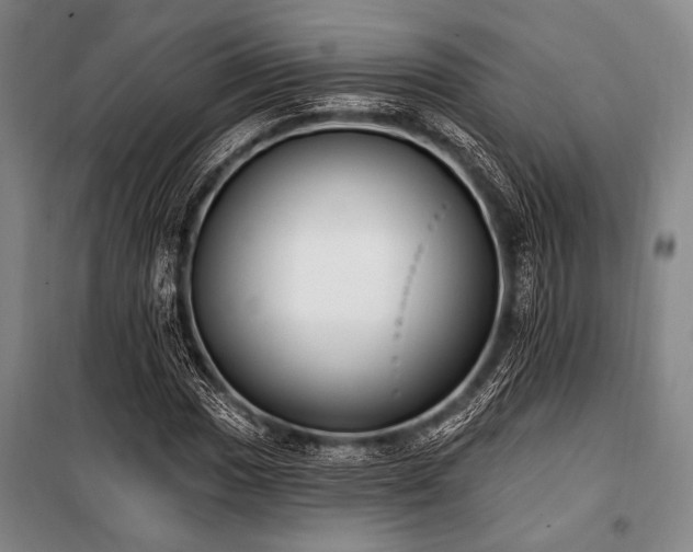X0000101181017200806271247