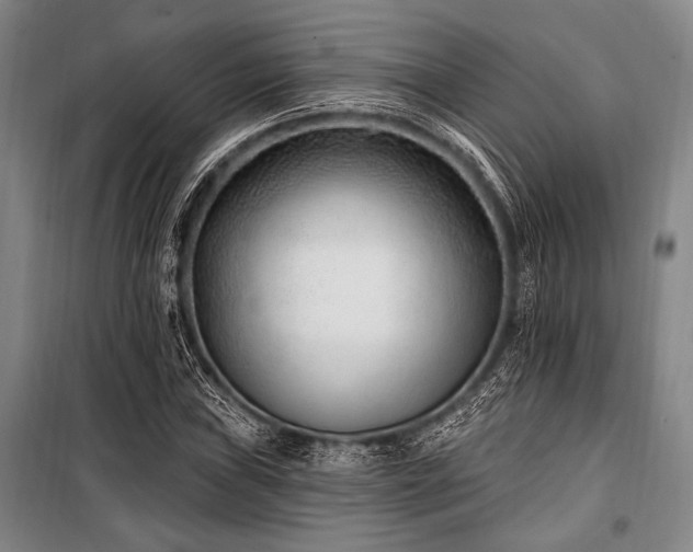 X0000101181019200806271247