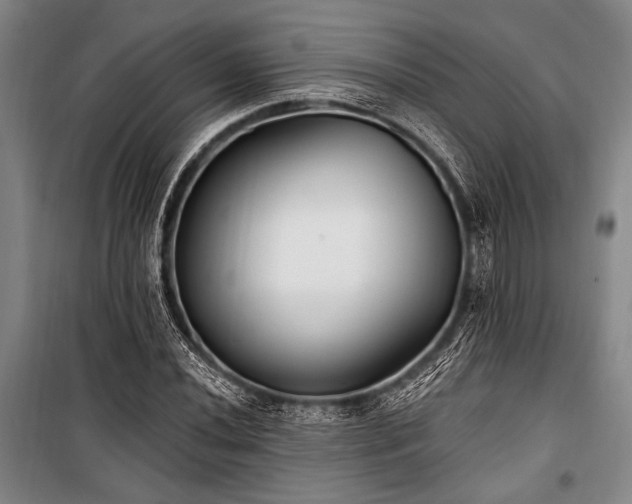 X0000101181020200806271247