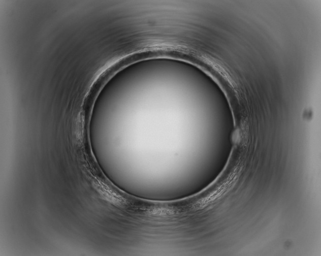 X0000101181021200806271247