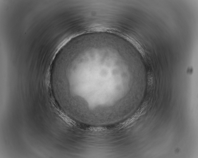 X0000101181023200806271247