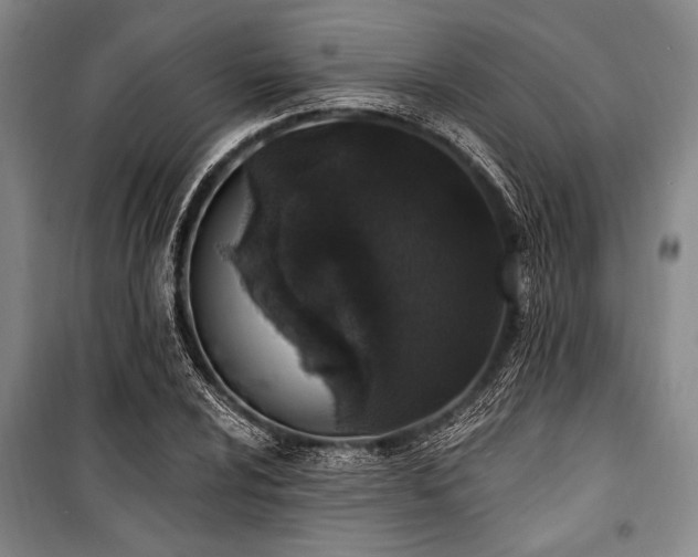 X0000101181024200806271247