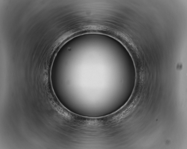 X0000101181025200806271247