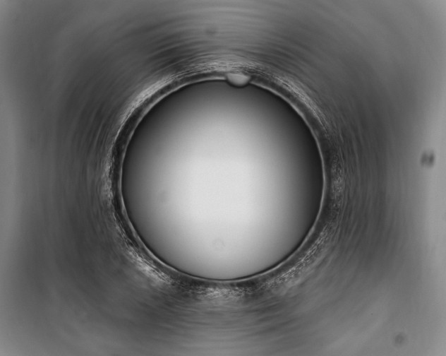 X0000101181026200806271247