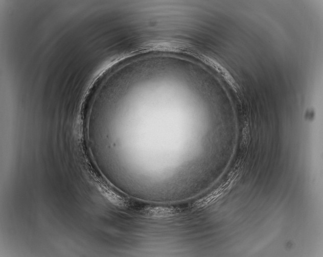 X0000101181027200806271247