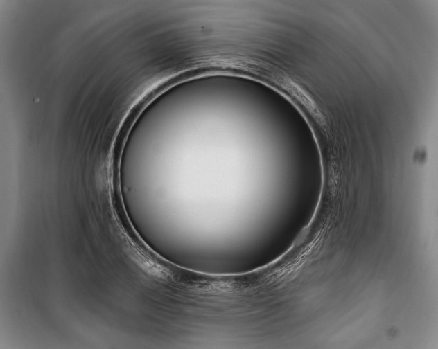 X0000101181028200806271247