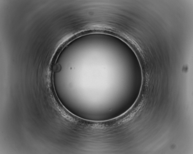 X0000101181029200806271247