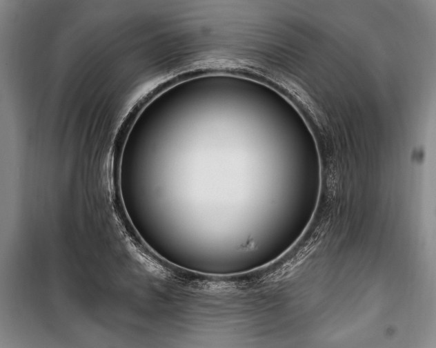 X0000101181030200806271247