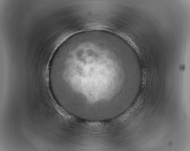 X0000101181031200806271247