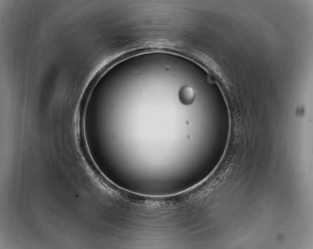 X0000101181032200806271247