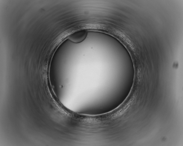 X0000101181033200806271247