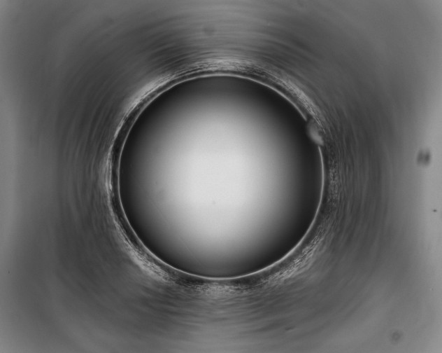 X0000101181034200806271247