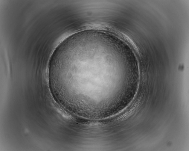 X0000101181035200806271247