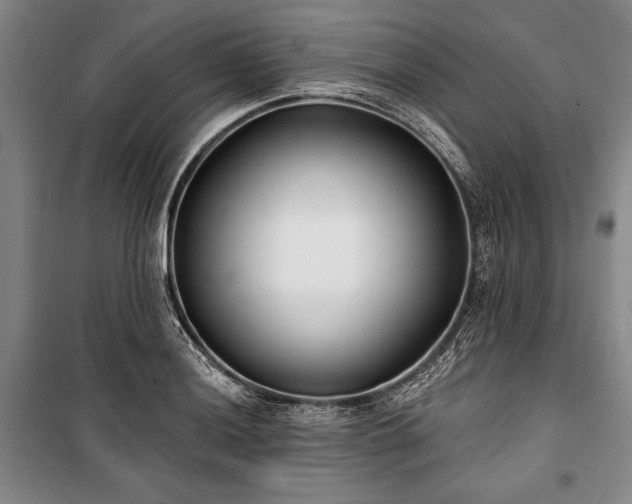 X0000101181036200806271247