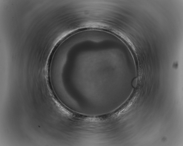 X0000101181037200806271247