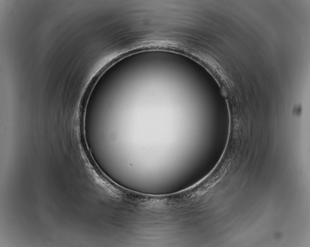 X0000101181038200806271247