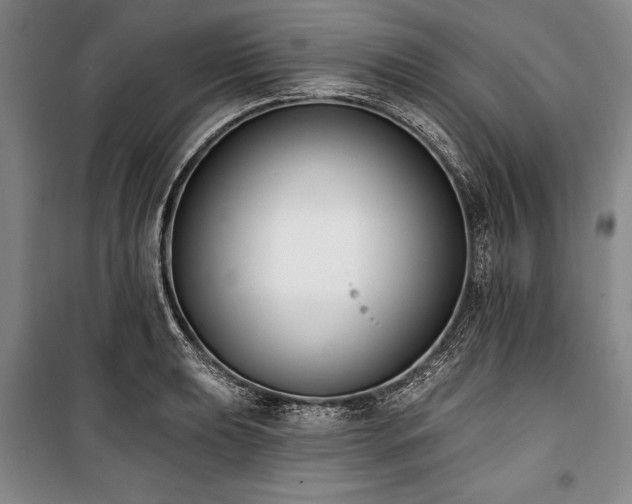 X0000101181039200806271247