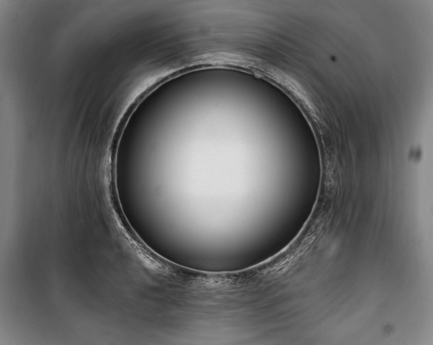X0000101181040200806271247