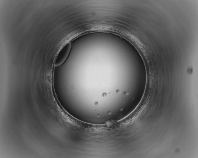 X0000101181041200806271247