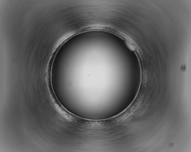 X0000101181042200806271247