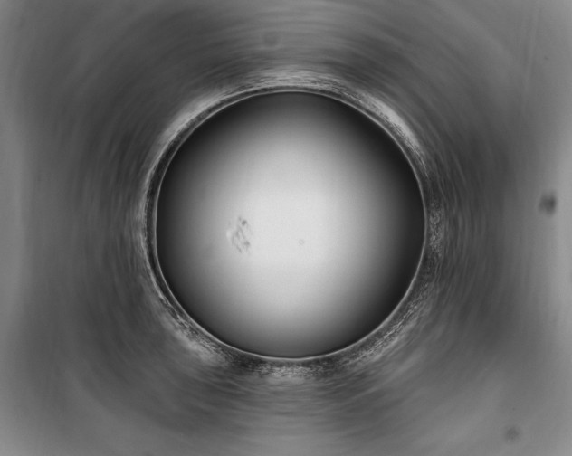 X0000101181043200806271247