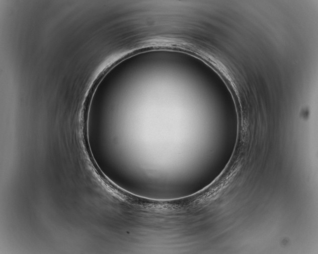 X0000101181045200806271247