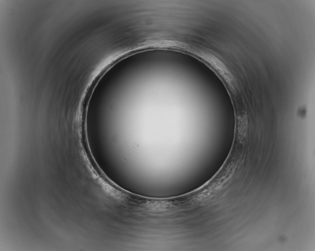 X0000101181046200806271247