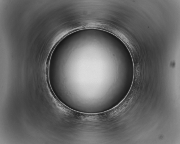 X0000101181047200806271247