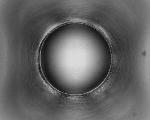 X0000101181048200806271247