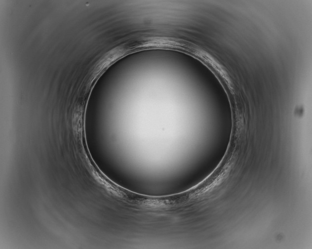 X0000101181049200806271247